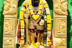 313397408_488442583310197_2873329130578912763_n